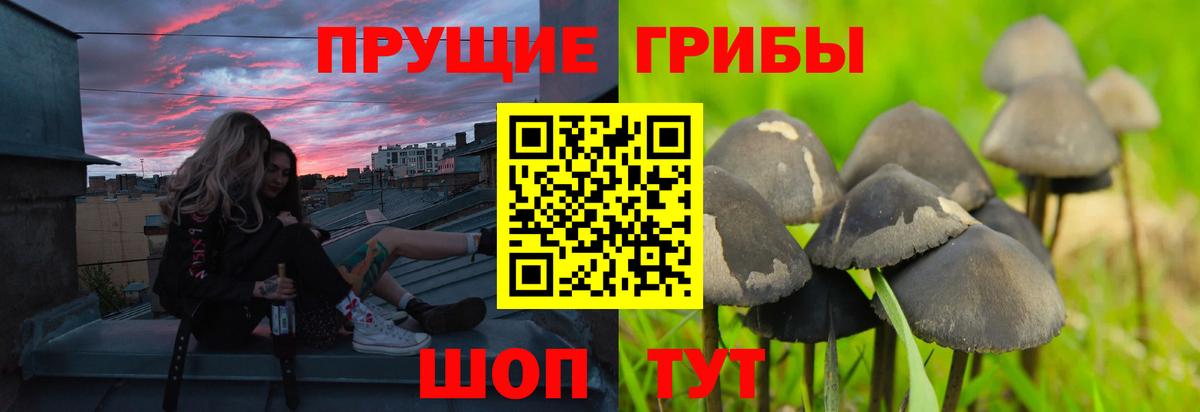 Галлюциногенные грибы прущие грибы  Вход с VPN  где купить наркоту  Коммунар  Галлюциногенные грибы мухоморы 